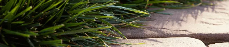 Lawn & Garden